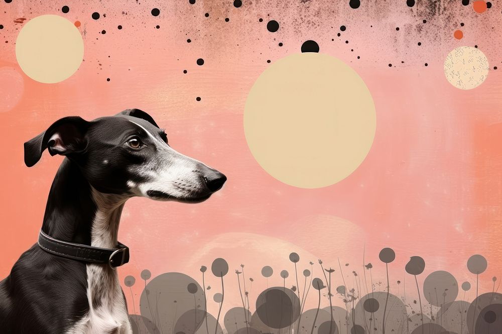  Cute background hound greyhound pointer. AI generated Image by rawpixel.