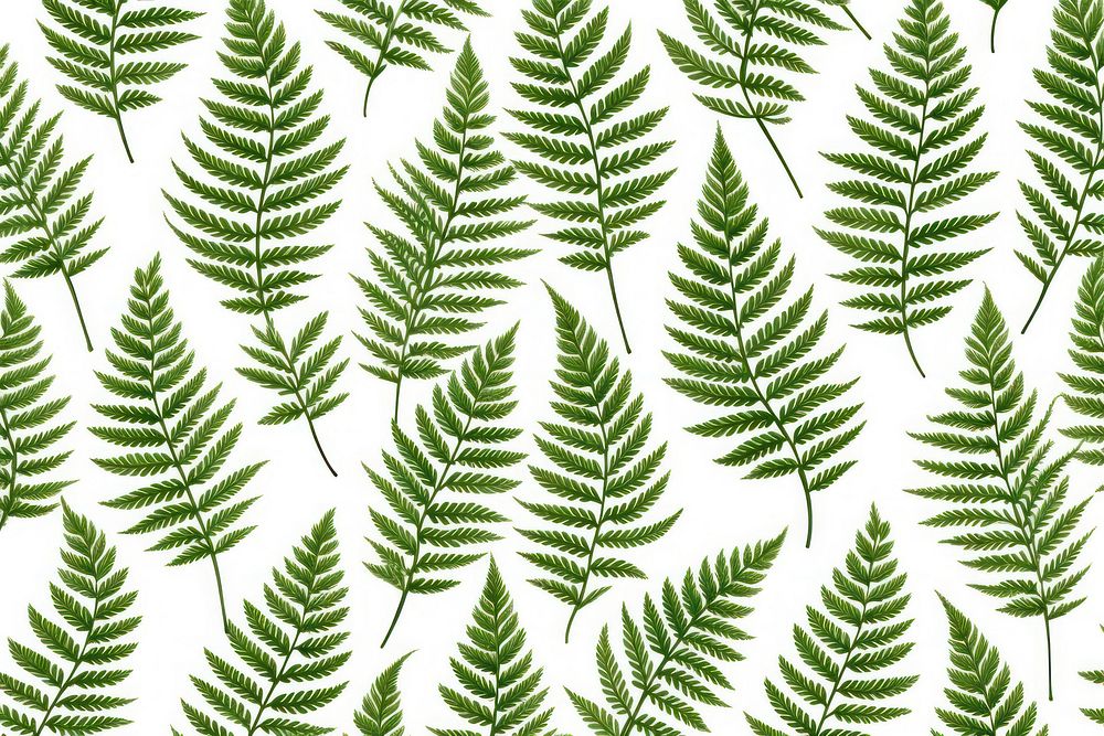 Cute green fern pattern background backgrounds plant leaf.
