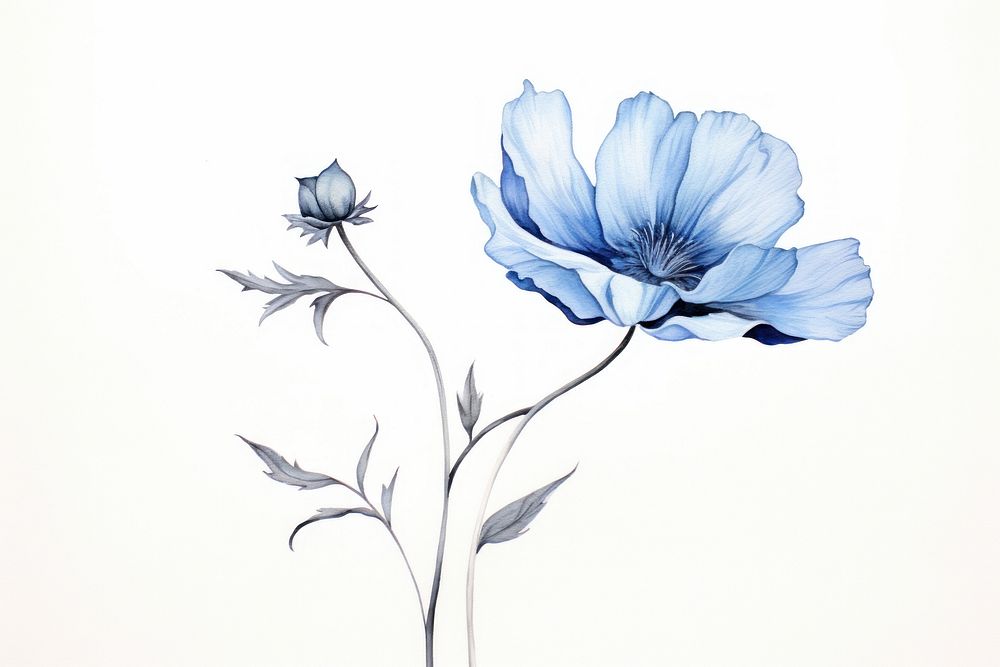  Blue flower drawing pattern sketch. AI generated Image by rawpixel.