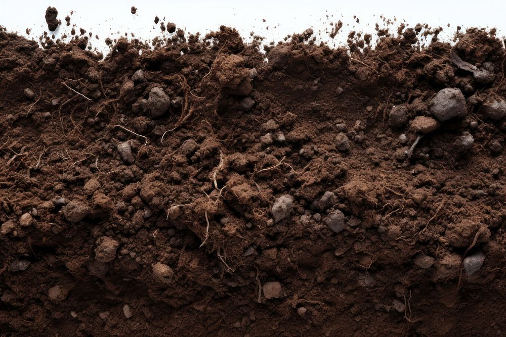 The soil backgrounds outdoors nature.