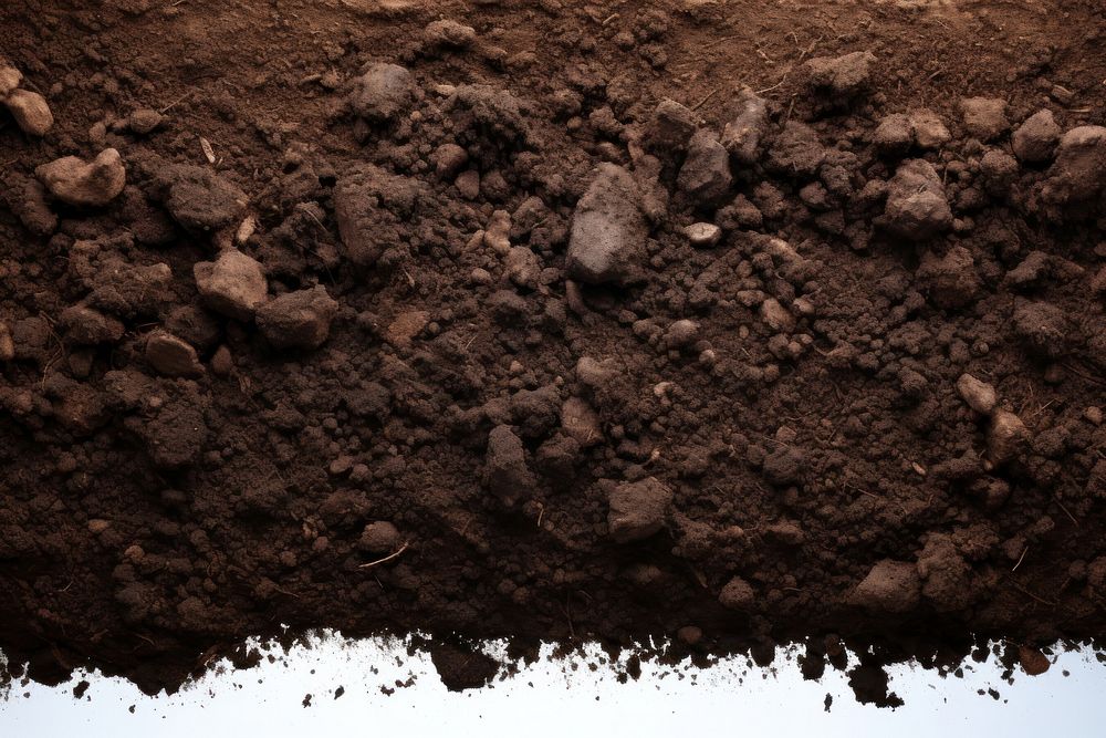 The soil backgrounds outdoors brown.