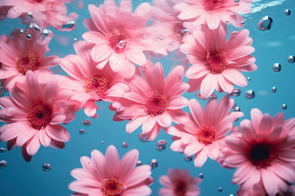  Pink flowers backgrounds underwater outdoors. AI generated Image by rawpixel.