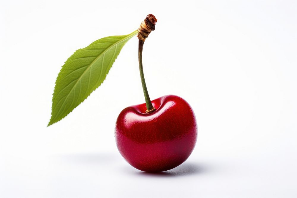 Cherry plant fruit food.