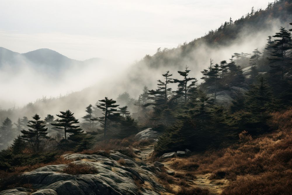 Foggy on the mountain wilderness landscape outdoors.