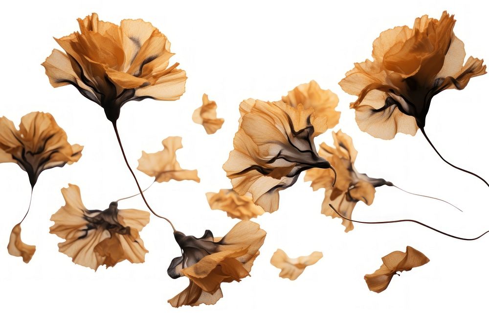  Ink gold carnations flower plant petal. AI generated Image by rawpixel.