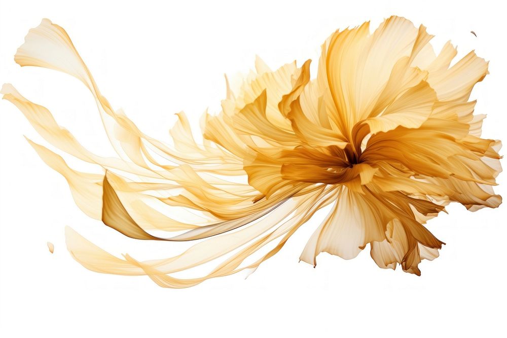  Ink gold crysanthemum flower petal white background. AI generated Image by rawpixel.