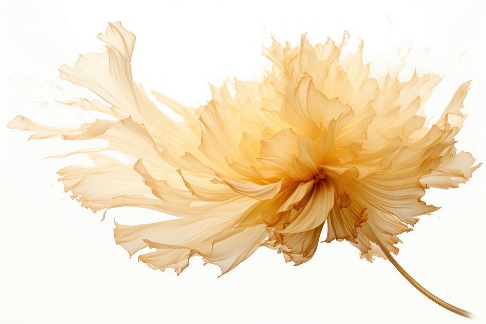  Ink gold crysanthemum flower petal plant. AI generated Image by rawpixel.