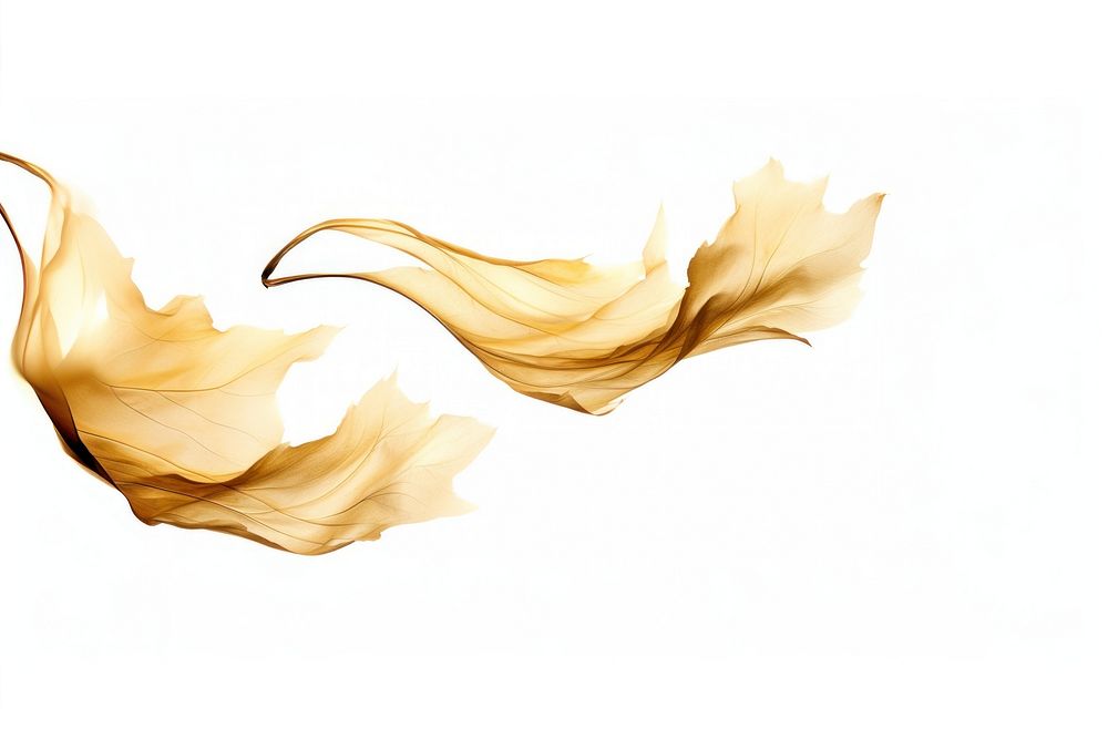  Ink gold leaves white background creativity abstract. AI generated Image by rawpixel.