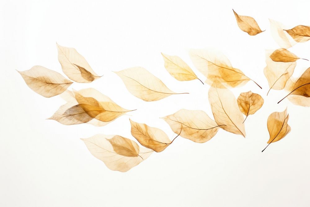  Ink gold leaves backgrounds plant leaf. AI generated Image by rawpixel.