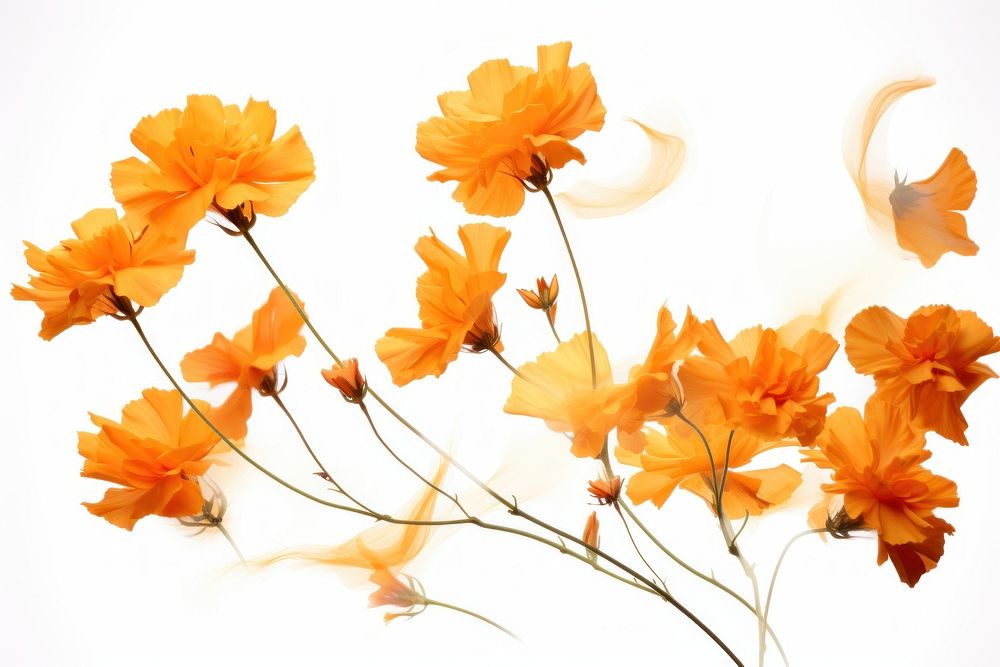  Ink marigolds flower petal plant. AI generated Image by rawpixel.