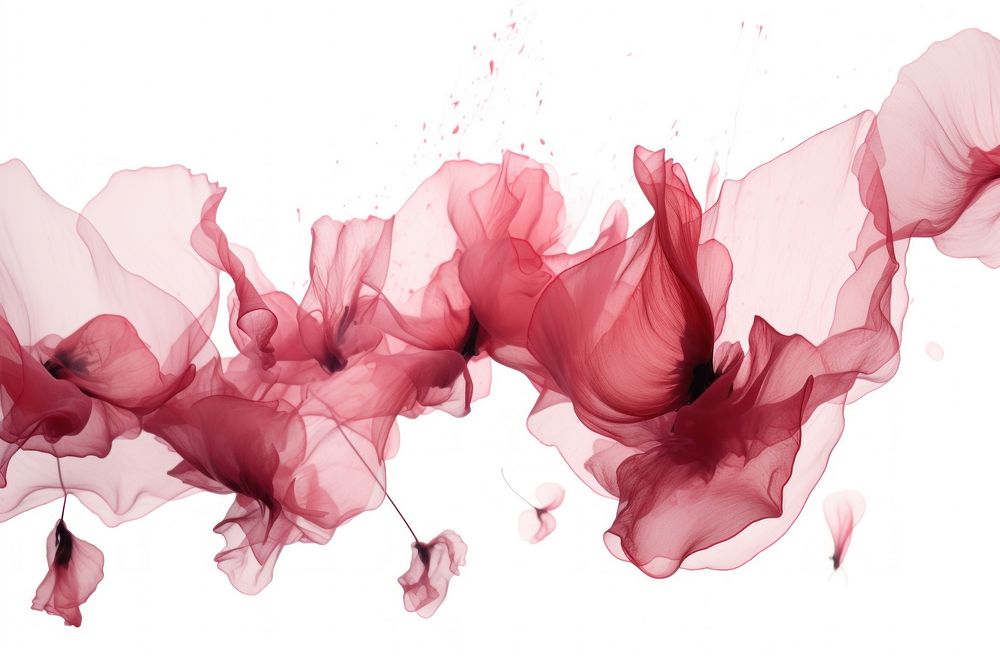 Ink petals backgrounds white background splattered. AI generated Image by rawpixel.