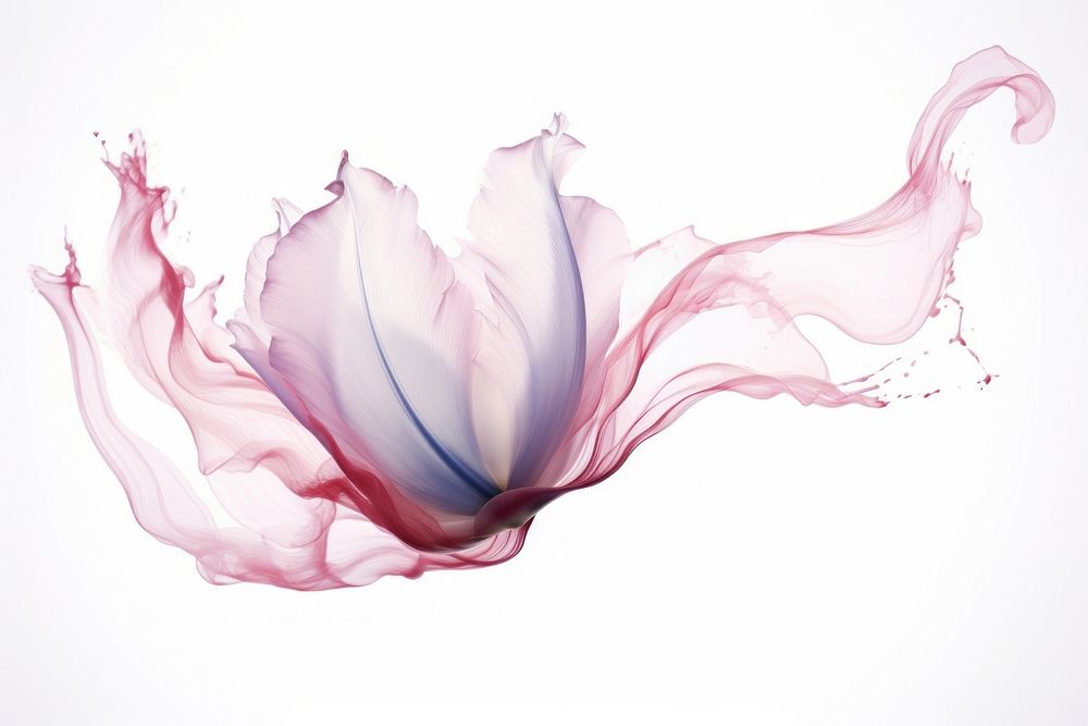  Ink tulip flower petal white background. AI generated Image by rawpixel.