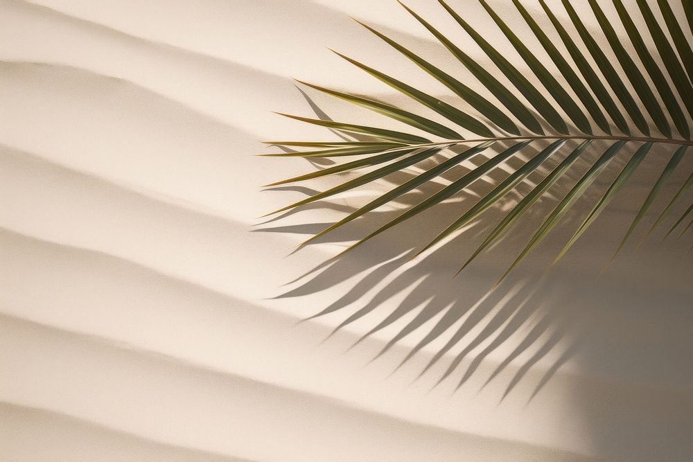 Palm nature plant light. AI generated Image by rawpixel.
