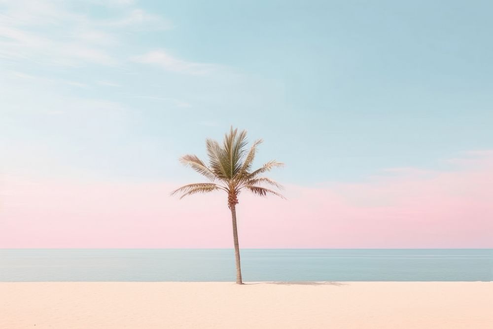 Palm outdoors horizon nature. AI generated Image by rawpixel.