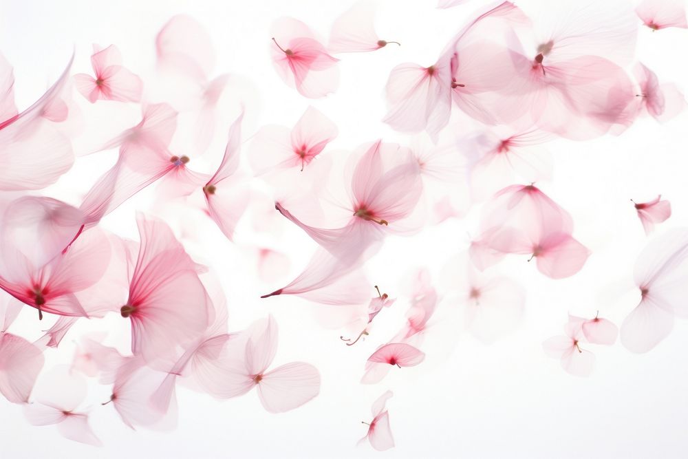 Pink blurry petals backgrounds blossom flower. AI generated Image by rawpixel.