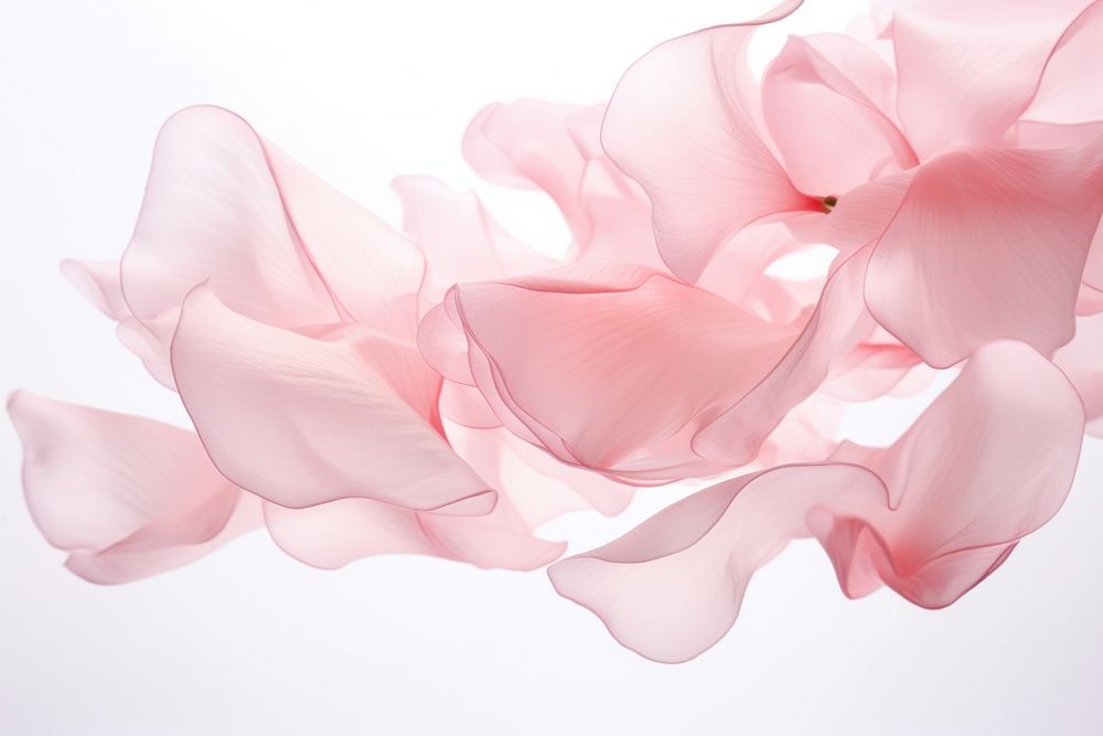 Pink petals backgrounds plant rose. AI generated Image by rawpixel.