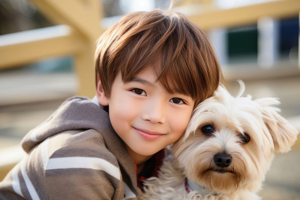 Japanese boy dog portrait mammal.