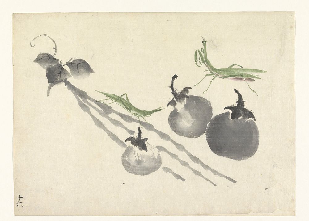 Sprinkhanen bij drie kaki's (1800 - 1899) by anonymous