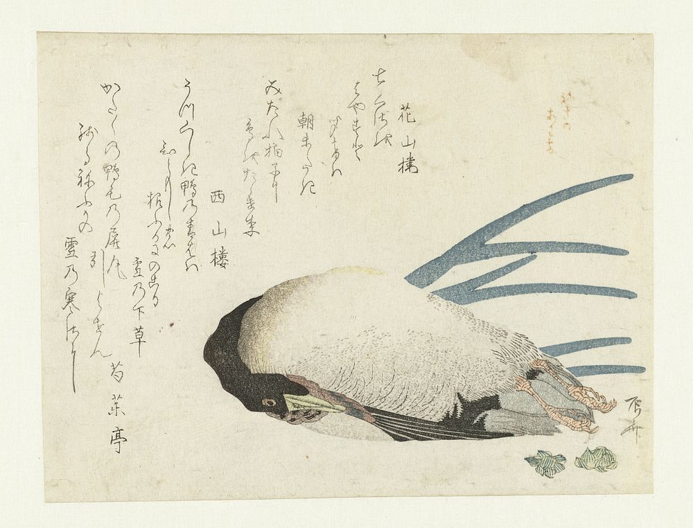 Leek in Light Snow (c. 1810 - c. 1820) by Ryûryûkyo Shinsai, Kasanrô, Saisanrô and Shakuyakutei