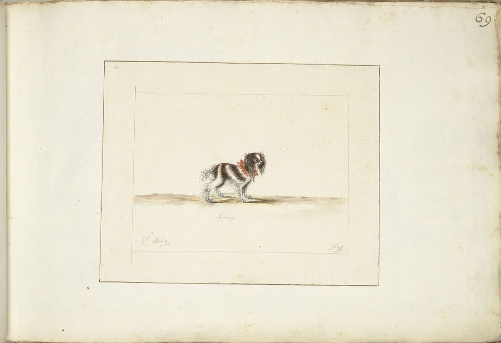 Hond Acteon (1679) by Anna Cornelia Moda
