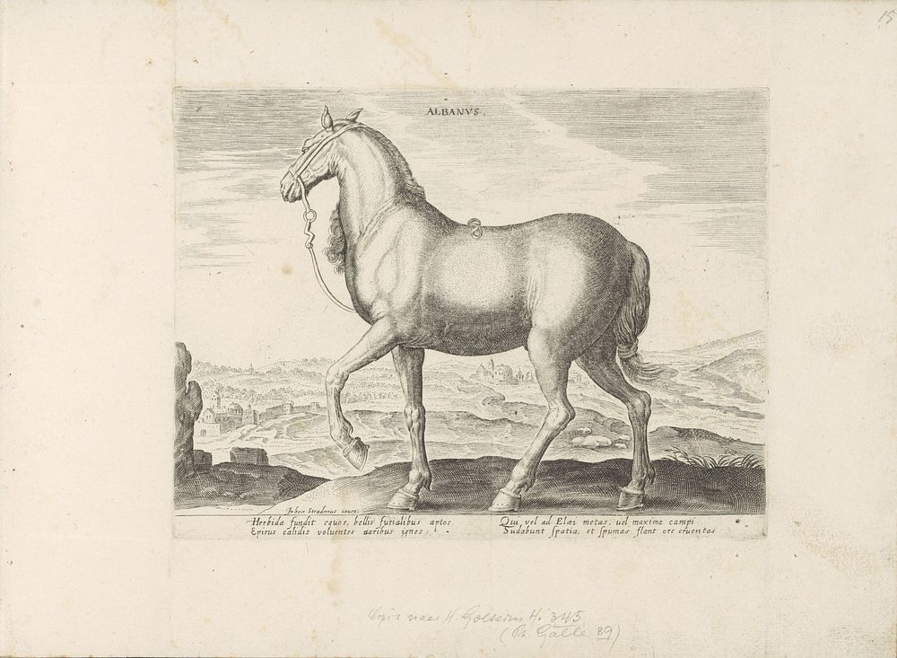 Paard uit Albanië (1624 - before 1648) by anonymous, Hans Collaert I, Hendrick Goltzius, Jan van der Straet and Marcus…