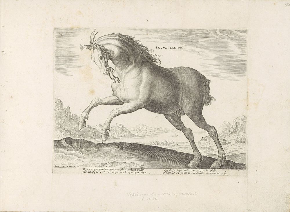 Paard van het ras Equus Regius (de Koninklijke) (1624 - before 1648) by anonymous, Hieronymus Wierix, Jan van der Straet and…