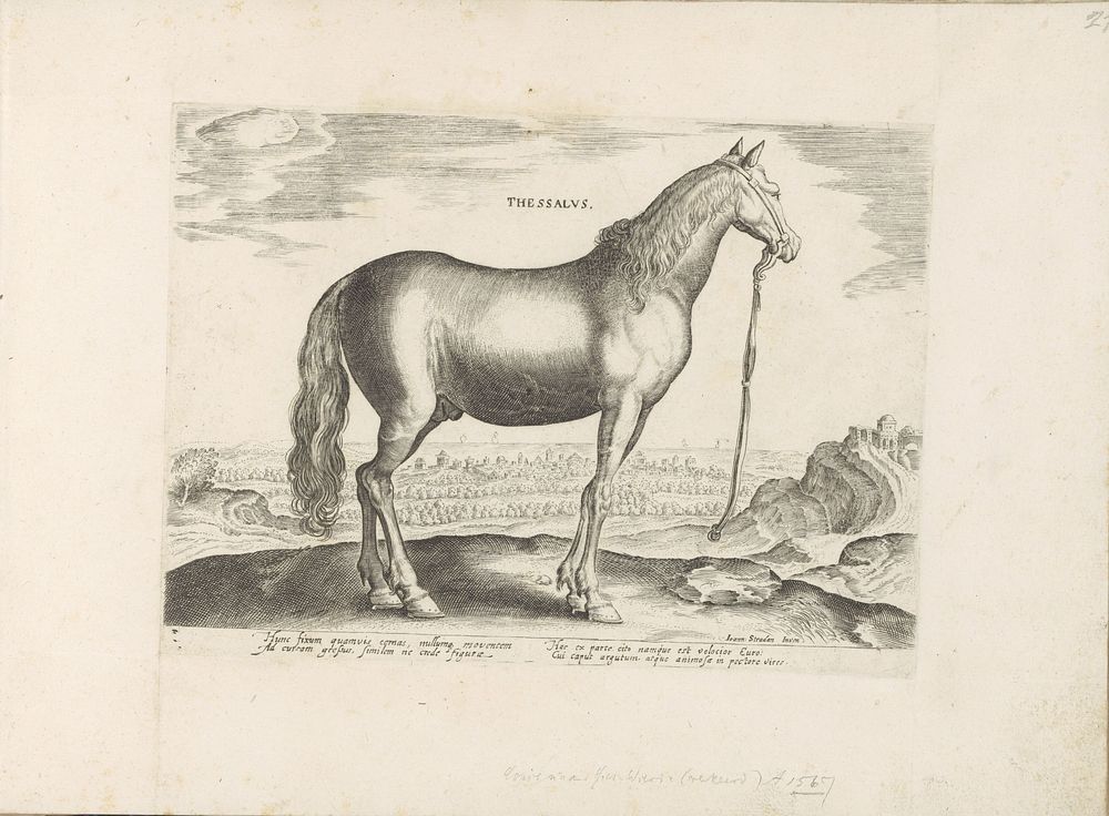 Paard uit Thessalië (1624 - before 1648) by anonymous, Hieronymus Wierix, Jan van der Straet and Marcus Sadeler