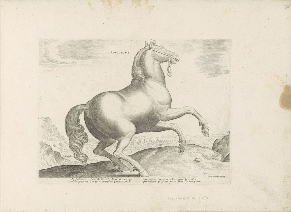 Paard uit Frankrijk (1624 - before 1648) by anonymous, Hieronymus Wierix, Jan van der Straet and Marcus Sadeler