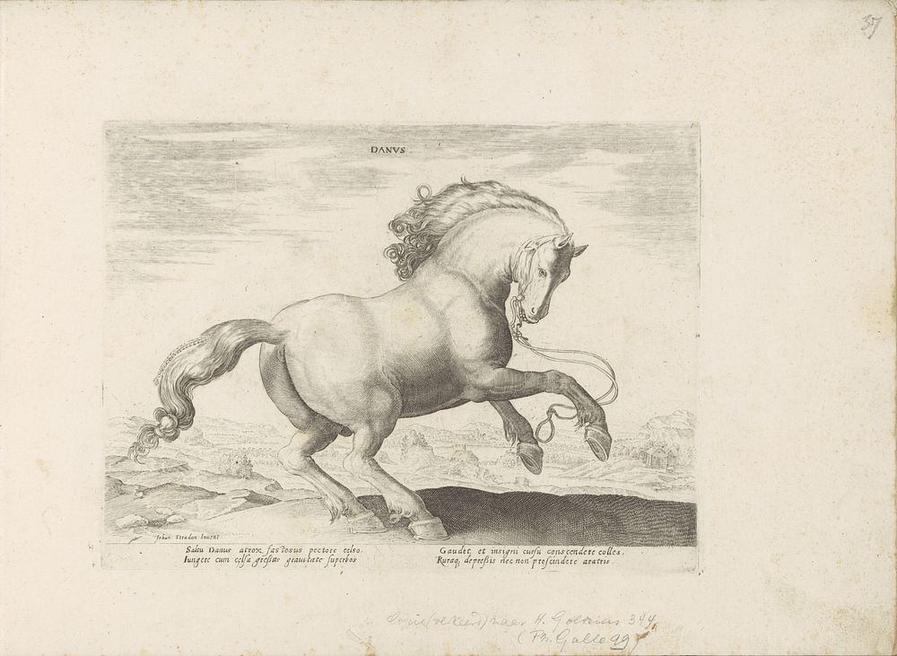 Paard uit Denemarken (1624 - before 1648) by anonymous, Hans Collaert I, Hendrick Goltzius, Jan van der Straet and Marcus…