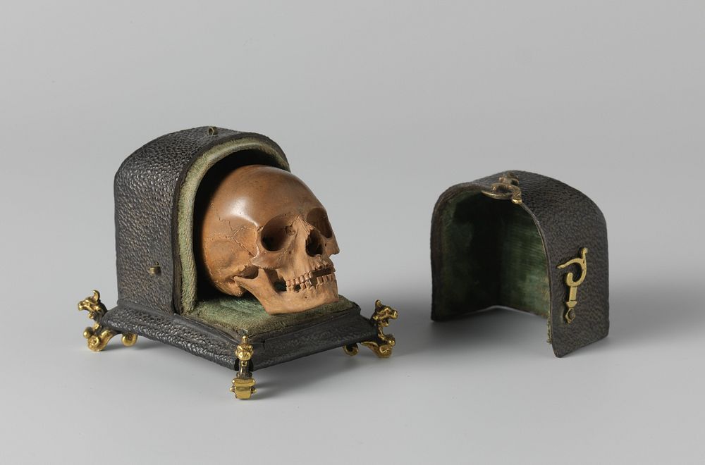Skull with case (c. 1650 - c. 1664) by Albert Jansz Vinckenbrinck