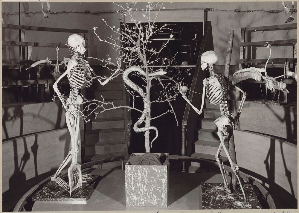 Reconstructie van het Theatrum Anatomicum met twee menselijke skeletten en een boom met een slang (c. 1975) by Rijksmuseum…