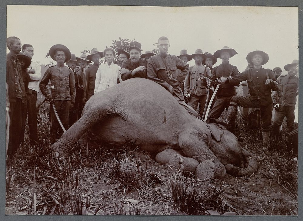 Olifantenjacht bij Krueng Seumpo (1903 - 1913) by anonymous