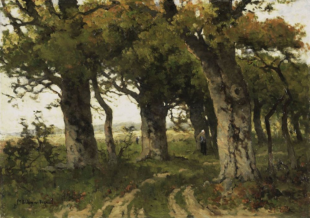 Avenue of Oaks in Late Summer (1880 - 1900) by Maria Bilders van Bosse