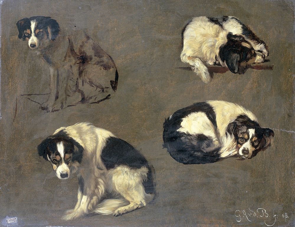 Four Studies of a Dog (1868) by Guillaume Anne van der Brugghen