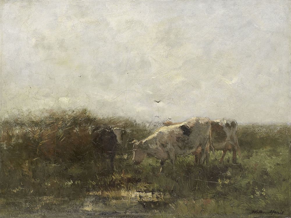 Koeien (1880 - 1904) by Willem Maris