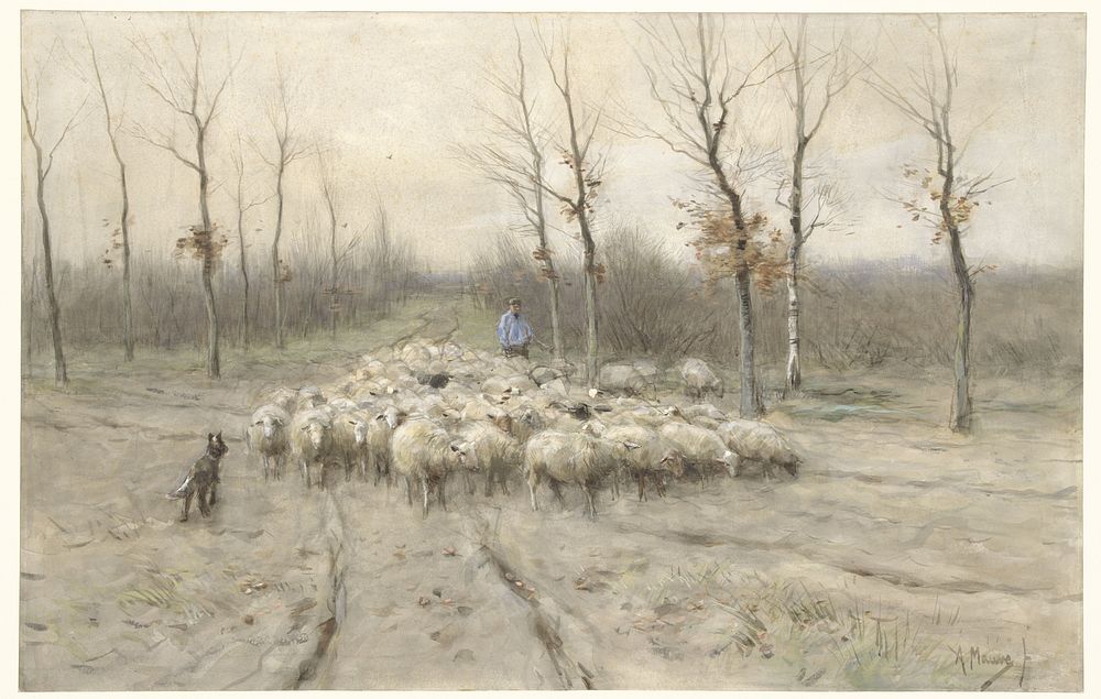 Schapenkudde op de heide bij Laren (1848 - 1888) by Anton Mauve