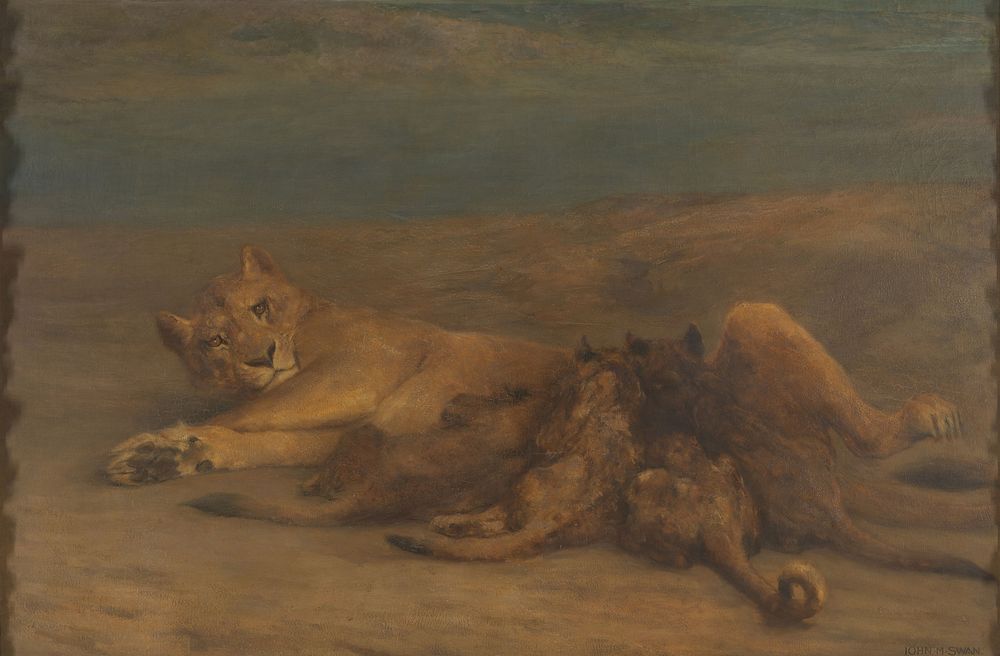 Een leeuwin met vier zogende welpen, genaamd 'Moederliefde' (1870 - 1904) by John Macallan Swan