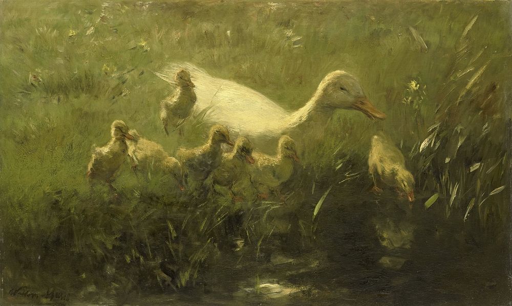 Witte eend met kiekens (1880 - 1910) by Willem Maris