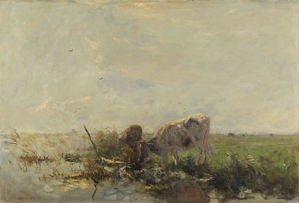 Koeien aan een plas (1880 - 1910) by Willem Maris