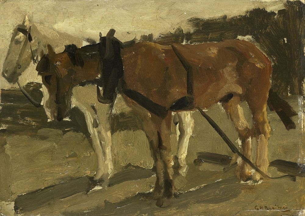 A Brown and a White Horse in Scheveningen (c. 1880 - c. 1923) by George Hendrik Breitner