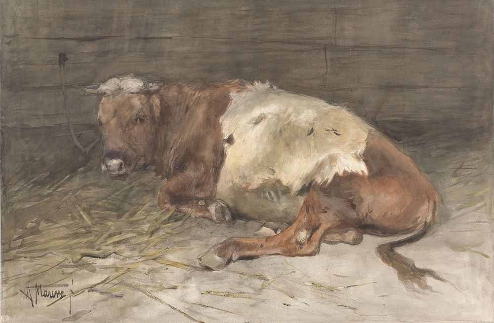Liggende jonge stier (1848 - 1888) by Anton Mauve
