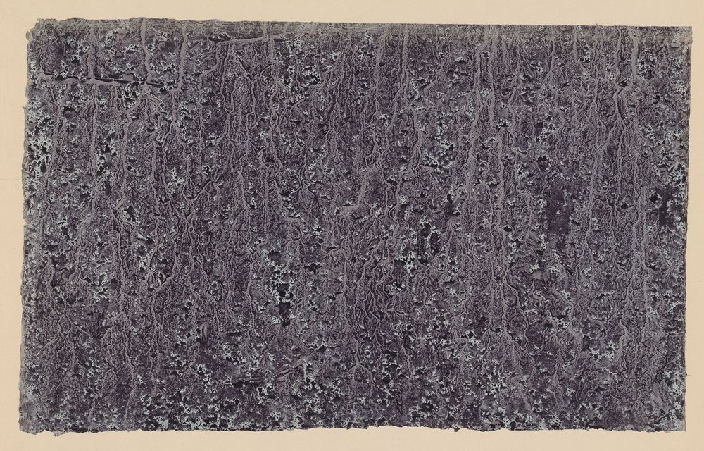 Stroommarmer in licht- en donkerpaars op lichtblauw papier (1850 - 1917) by anonymous
