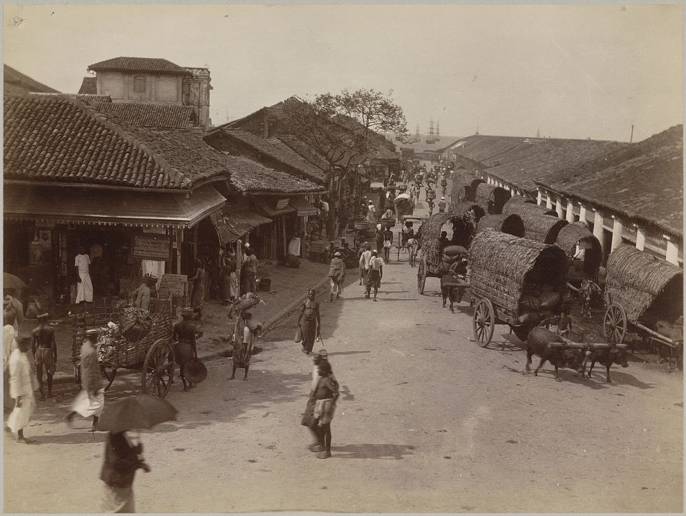 Street Scene with Covered Wagons in Pettah, Colombo (c. 1895 - c. 1915) by anonymous