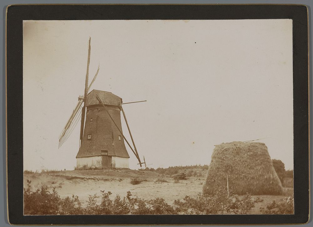 Gezicht op de molen De Vlijt in Wapenveld met rechts een hooiopper (1880 - 1940) by Cornelia Hendrika Jonker