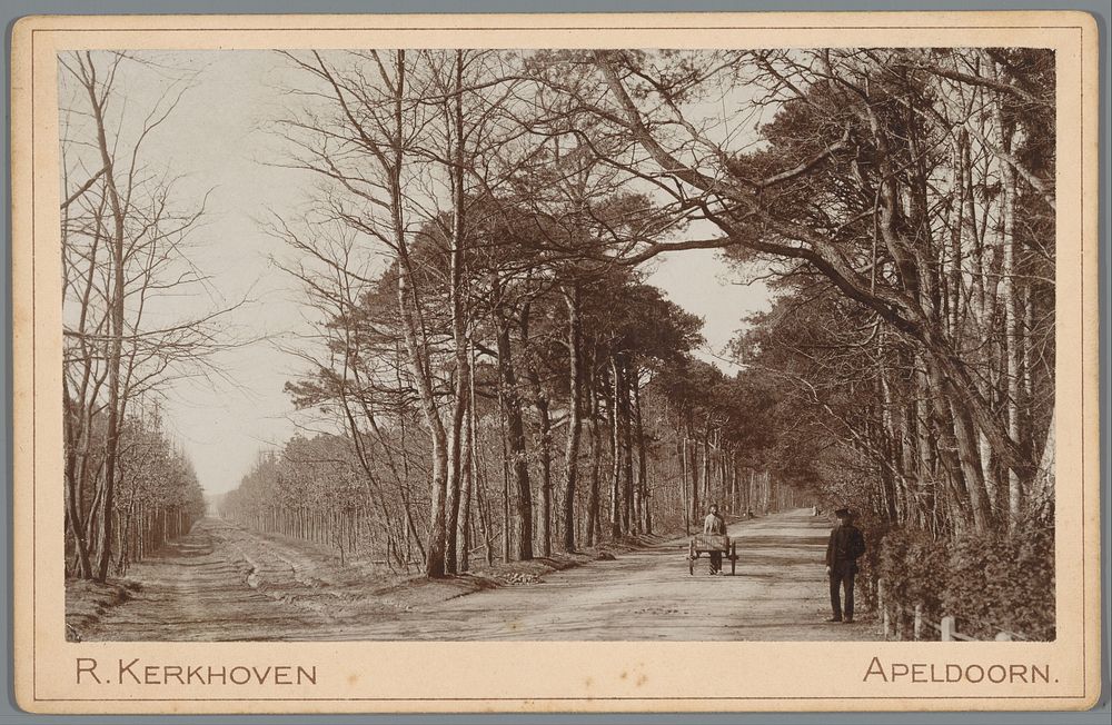 Begin van de Amersfoortseweg bij Apeldoorn (1893 - 1902) by Richard Kerkhoven and A F van Wieringen