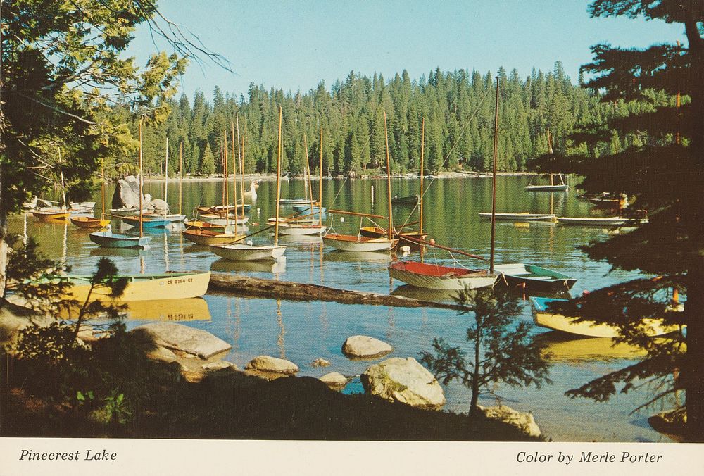 Gezicht op Pinecrest Lake in de Sierra Nevada, Californië (1880 - 1888) by Merle Porter, anonymous and Merle Porter