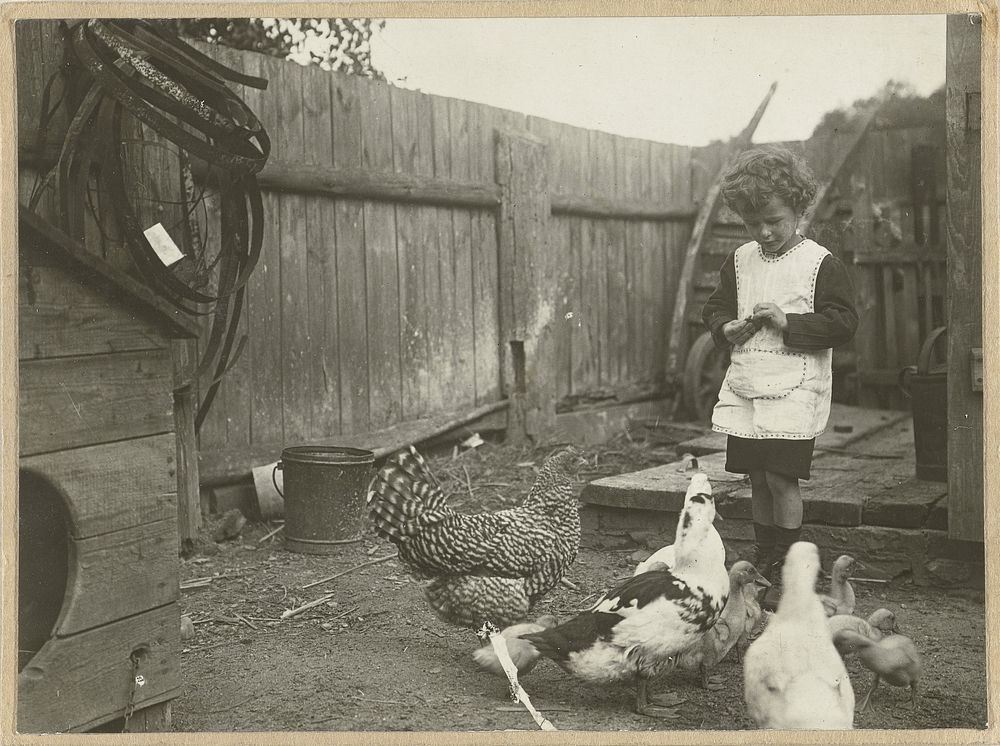 Eckart Titzenthaler, zoon van de fotograaf, staand op een erf met kippen en eenden (1919) by Waldemar Titzenthaler