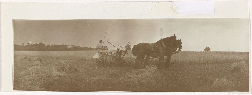 Boer met ploeg en een span paarden in Groot-Brittannië (c. 1900 - c. 1915) by anonymous