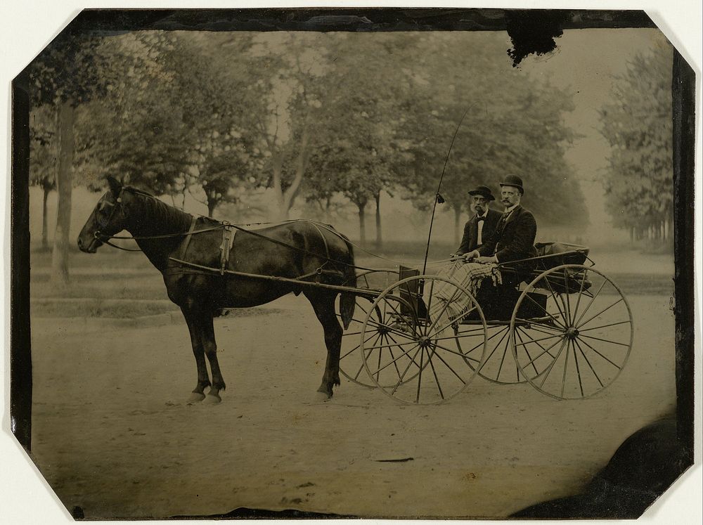 William and Henri Titus in Prospect Park, Brooklyn NY (c. 1875) by American Photograph Company