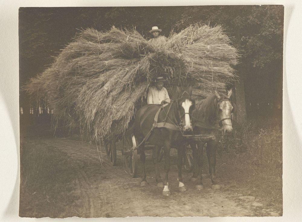 Paard en wagen beladen met hooi (c. 1900 - c. 1930) by Richard Tepe